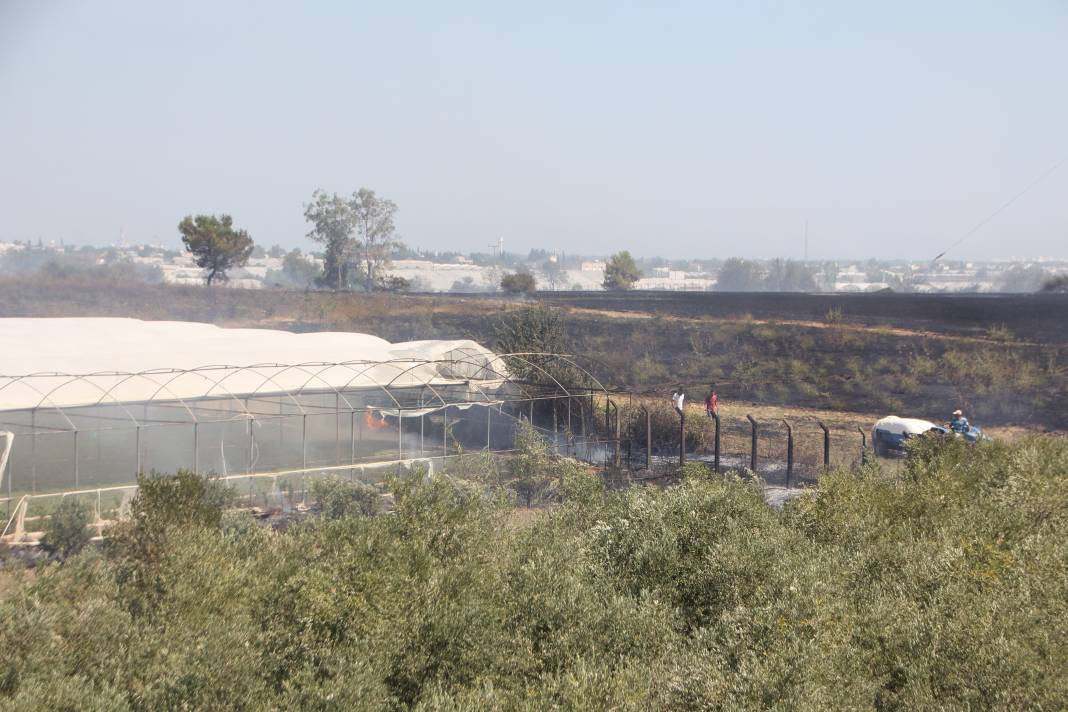 Otluk alanda başladı orman ve seralara sıçradı - Resim: 2